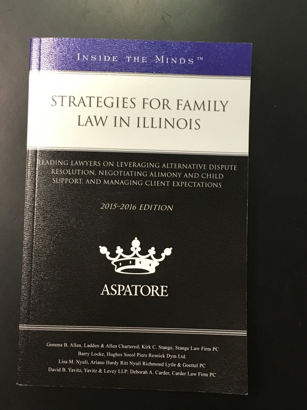 Strategies For Family Law In Illinois